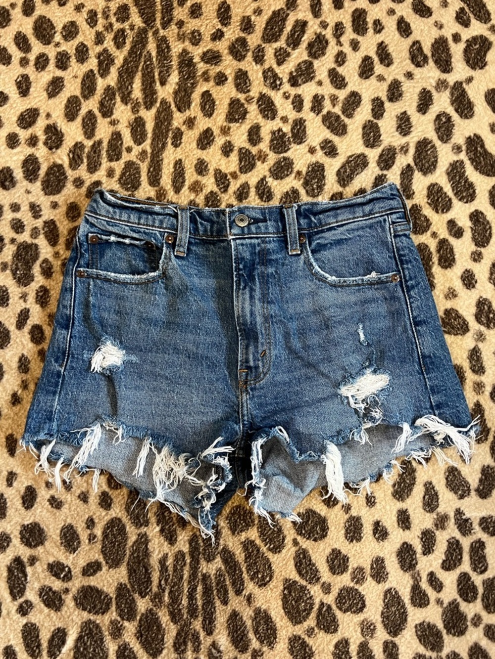 Abercrombie Denim Shorts
